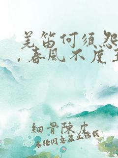 羌笛何须怨杨柳, 春风不度玉门关.