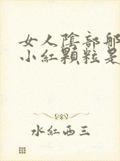 女人阴部那起了小红颗粒是什么原因