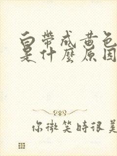 白带成黄色水样是什么原因