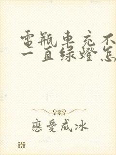 电瓶车充不进电一直绿灯怎么回事