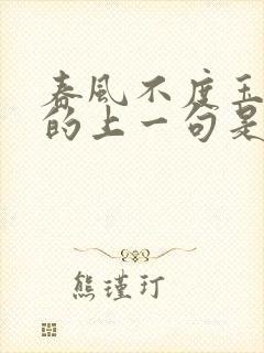 春风不度玉门关的上一句是什么?