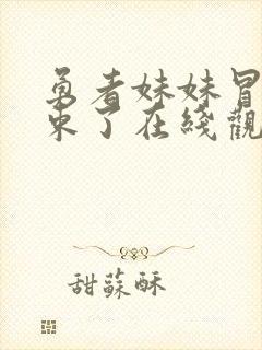 勇者妹妹冒险结束了在线观看免费动漫