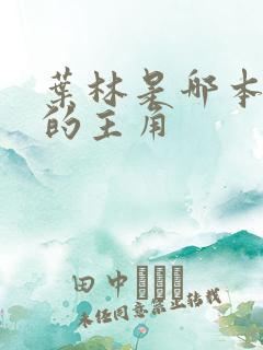 叶林是哪本小说的主角