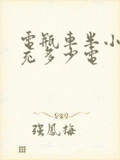 电瓶车半小时能充多少电