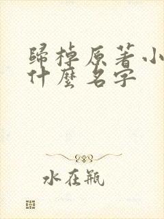 归棹原著小说叫什么名字