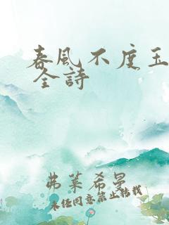 春风不度玉门关 全诗