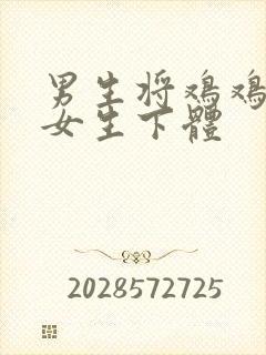 男生将鸡鸡插入女生下体