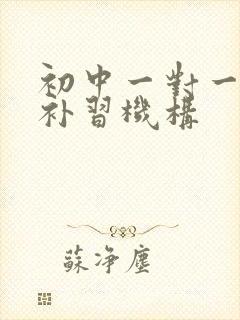 初中一对一物理补习机构