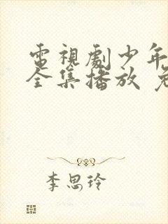 电视剧少年派2全集播放 免费