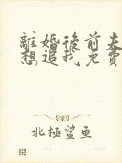 离婚后前夫总是想追我免费阅读小说