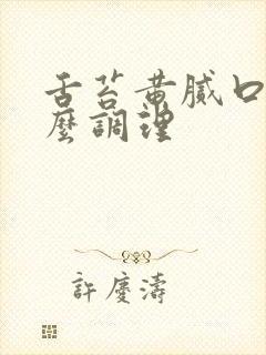 舌苔黄腻口苦怎么调理