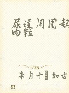 尿道周围起了小肉粒