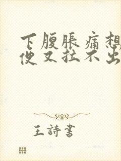 下腹胀痛想拉大便又拉不出来难受