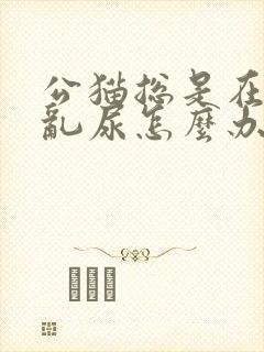 公猫总是在家里乱尿怎么办