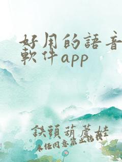 好用的语音聊天软件app