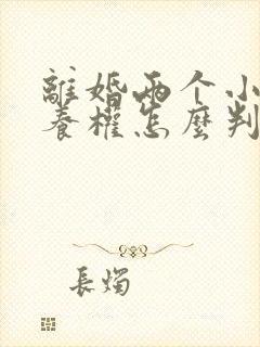 离婚两个小孩抚养权怎么判