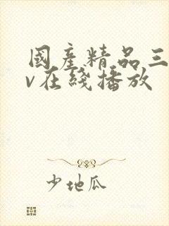 国产精品三级av在线播放