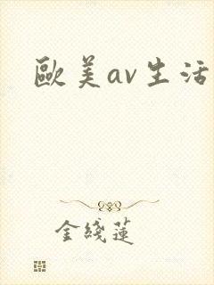 欧美av生活片