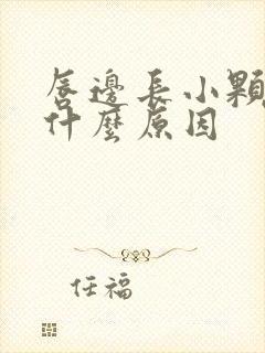 唇边长小颗粒是什么原因