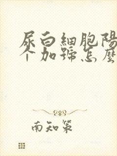 尿白细胞阳性2个加号怎么回事