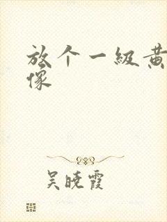 放个一级黄色录像