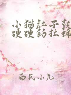 小猫肚子鼓鼓的硬硬的拉稀