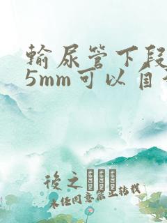 输尿管下段结石5mm可以自行排出吗