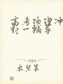 高考物理冲刺一对一辅导