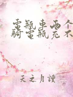 电瓶车两个月没骑电瓶充不进电了