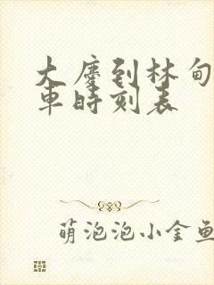 大庆到林甸县客车时刻表