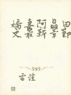 娇妻阿晶田刚全文最新章节阅读