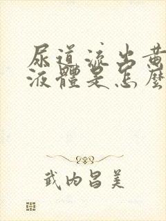 尿道流出黄色的液体是怎么回事