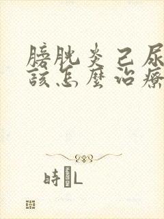 膀胱炎己尿不出该怎么治疗