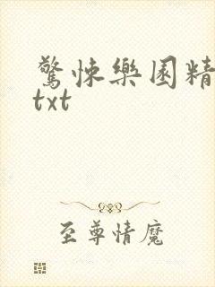 惊悚乐园精校版txt