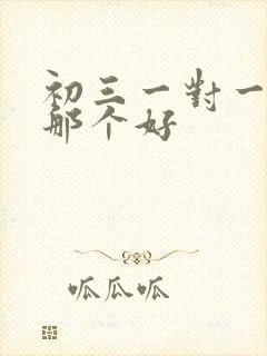 初三一对一辅导那个好