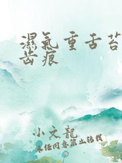 湿气重舌苔白有齿痕