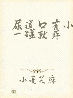 尿道口有小肉粒一碰就疼