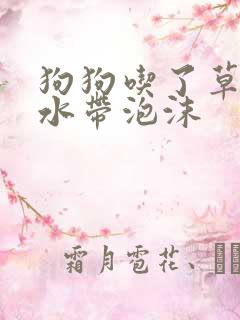 狗狗吃了草吐黄水带泡沫