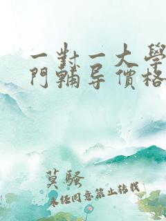 一对一大学生上门辅导价格