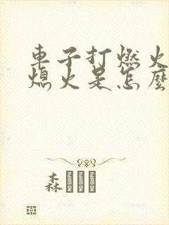 车子打燃火就又熄火是怎么回事