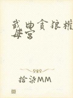 武曲贪狼权在父母宫