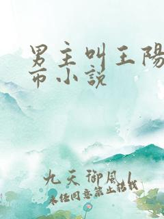 男主叫王阳的都市小说