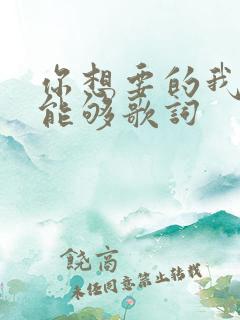 你想要的我却不能够歌词