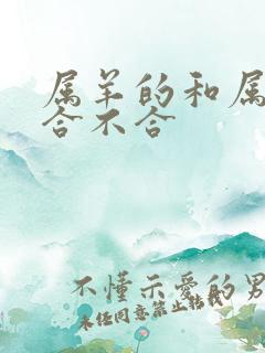 属羊的和属龙的合不合