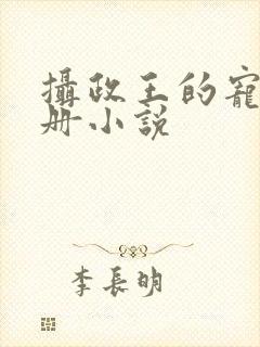 摄政王的宠妻手册小说