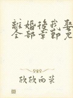 离婚后我娶了岳全部章节免费阅读