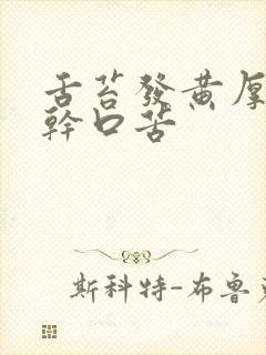 舌苔发黄厚腻口干口苦