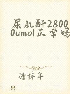 尿肌酐28000umol正常吗