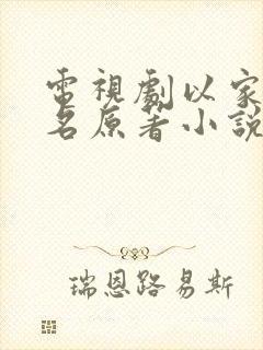 电视剧以家人之名原著小说