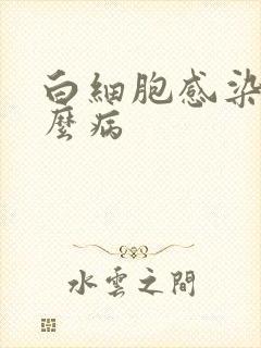 白细胞感染是什么病